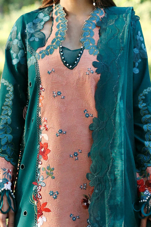 AFROZEH A LAWN DALIYA